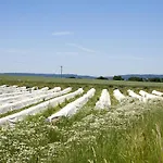 Wohnen Am Wasserschloss Sandizell Vendégház 3*
